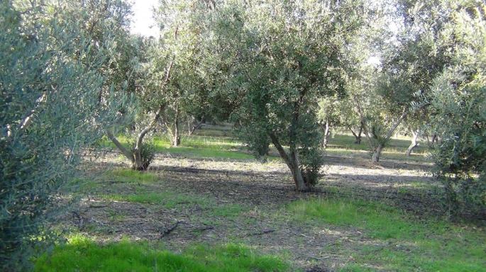 10428618_10150491898204969_2816555476566219587_n